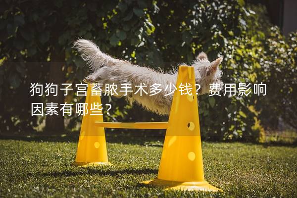 狗狗子宮蓄膿手術多少錢？費用影響因素有哪些？