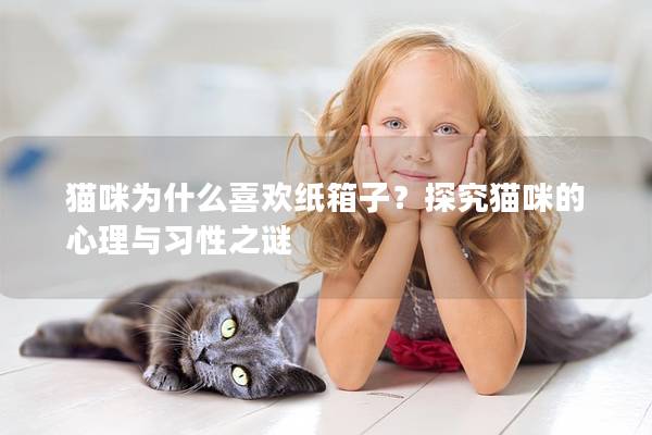 貓咪為什么喜歡紙箱子？探究貓咪的心理與習性之謎