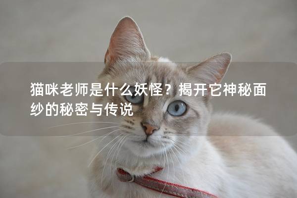 貓咪老師是什么妖怪？揭開(kāi)它神秘面紗的秘密與傳說(shuō)
