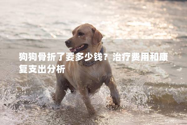 狗狗骨折了要多少錢？治療費(fèi)用和康復(fù)支出分析