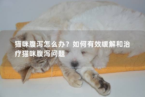 貓咪腹瀉怎么辦？如何有效緩解和治療貓咪腹瀉問題