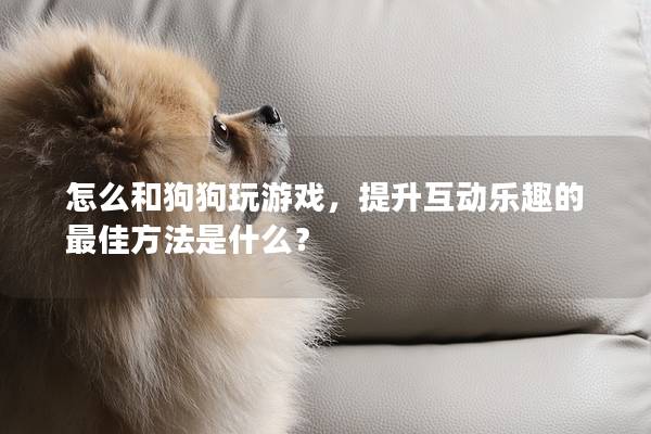 怎么和狗狗玩游戲，提升互動樂趣的最佳方法是什么？