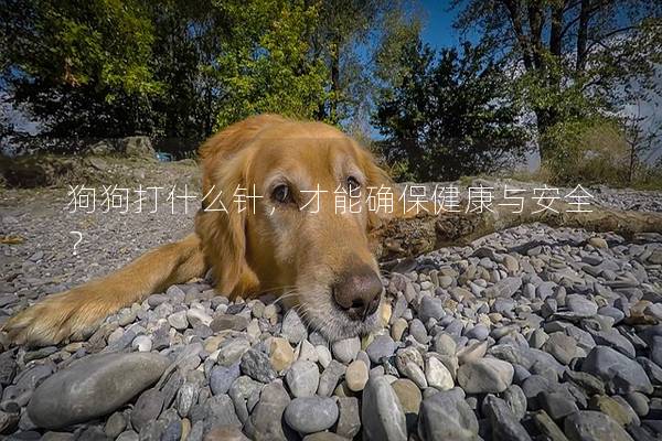 狗狗打什么針，才能確保健康與安全？