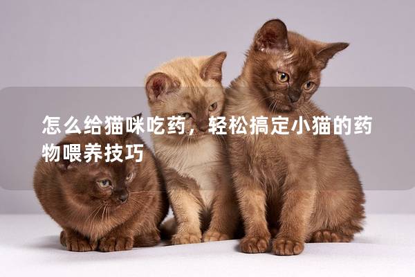 怎么給貓咪吃藥，輕松搞定小貓的藥物喂養(yǎng)技巧