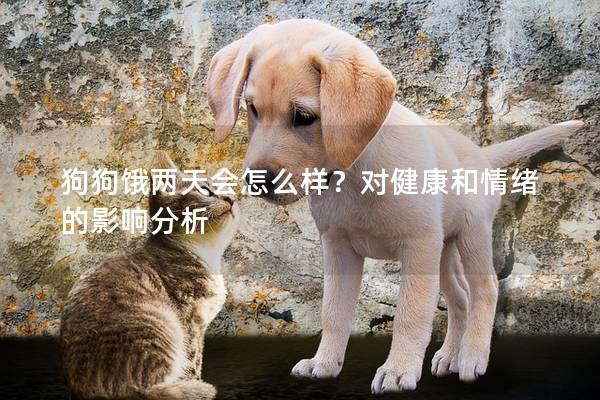 狗狗餓兩天會(huì)怎么樣？對(duì)健康和情緒的影響分析