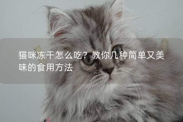 貓咪凍干怎么吃？教你幾種簡單又美味的食用方法