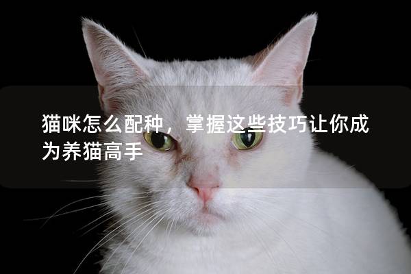 貓咪怎么配種,掌握這些技巧讓你成為養貓高手 貓咪怎么配種,掌握這些技巧讓你成為養貓高手