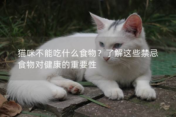 貓咪不能吃什么食物？了解這些禁忌食物對(duì)健康的重要性