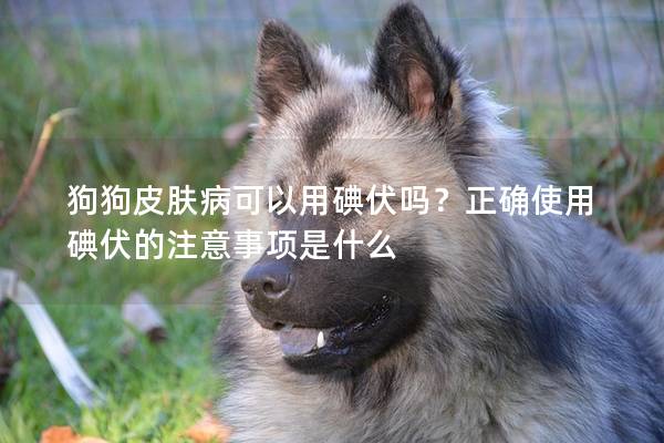 狗狗皮膚病可以用碘伏嗎？正確使用碘伏的注意事項是什么