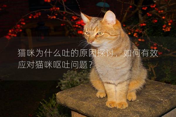 貓咪為什么吐的原因探討，如何有效應對貓咪嘔吐問題？