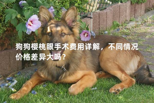 狗狗櫻桃眼手術(shù)費用詳解,不同情況價格差異大嗎? 狗狗櫻桃眼手術(shù)費用詳解,不同情況價格差異大嗎?
