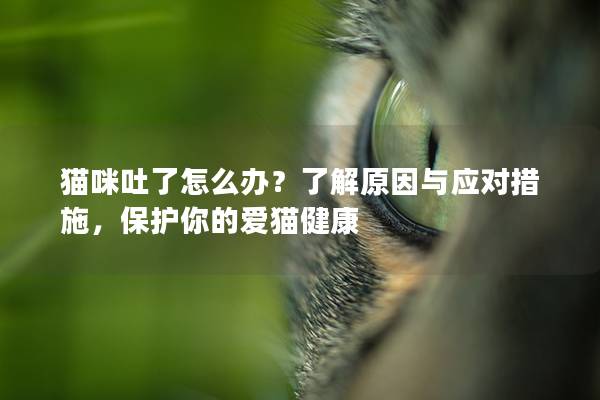 貓咪吐了怎么辦？了解原因與應(yīng)對(duì)措施，保護(hù)你的愛(ài)貓健康