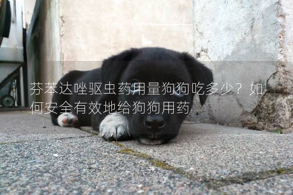 芬苯達唑驅(qū)蟲藥用量狗狗吃多少？如何安全有效地給狗狗用藥