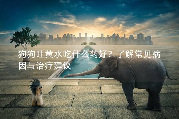 狗狗吐黃水吃什么藥好？了解常見病因與治療建議