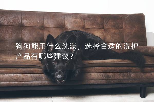 狗狗能用什么洗澡，選擇合適的洗護(hù)產(chǎn)品有哪些建議？