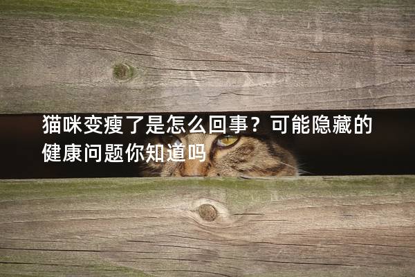 貓咪變瘦了是怎么回事？可能隱藏的健康問題你知道嗎