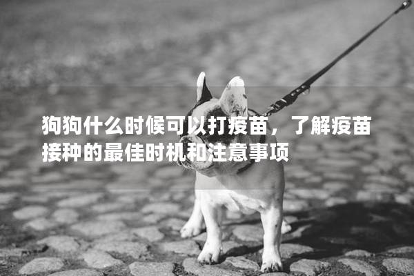 狗狗什么時(shí)候可以打疫苗，了解疫苗接種的最佳時(shí)機(jī)和注意事項(xiàng)