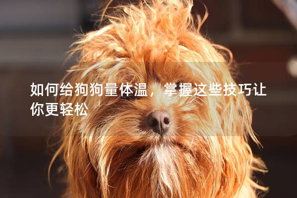 如何給狗狗量體溫，掌握這些技巧讓你更輕松