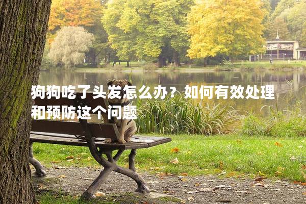 狗狗吃了頭發(fā)怎么辦？如何有效處理和預(yù)防這個(gè)問(wèn)題