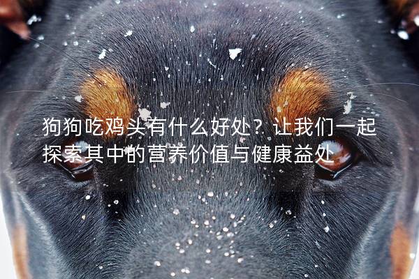 狗狗吃雞頭有什么好處?讓我們一起探索其中的營養(yǎng)價值與健康益處 狗狗吃雞頭有什么好處?讓我們一起探索其中的營養(yǎng)價值與健康益處