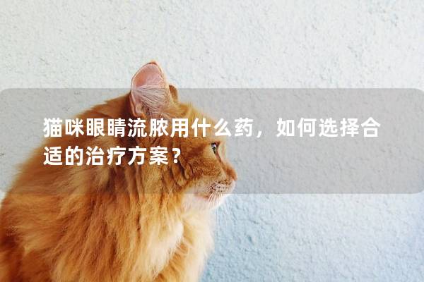 貓咪眼睛流膿用什么藥，如何選擇合適的治療方案？