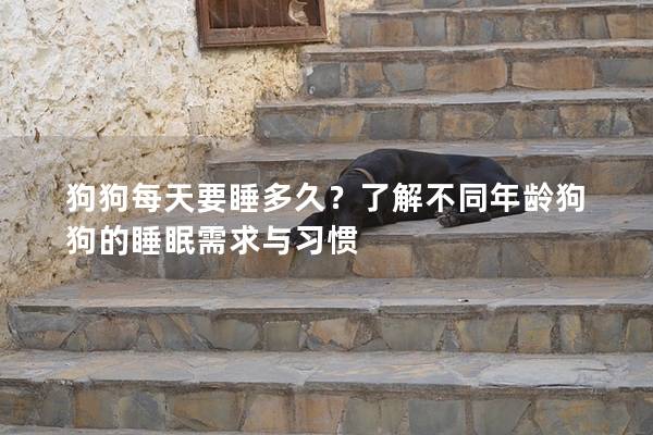 狗狗每天要睡多久？了解不同年齡狗狗的睡眠需求與習(xí)慣