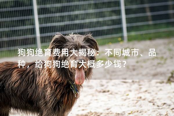 狗狗絕育費用大揭秘：不同城市、品種，給狗狗絕育大概多少錢？