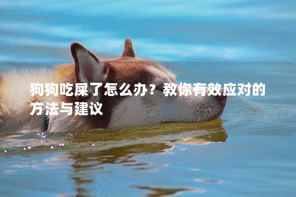 狗狗吃屎了怎么辦？教你有效應(yīng)對的方法與建議