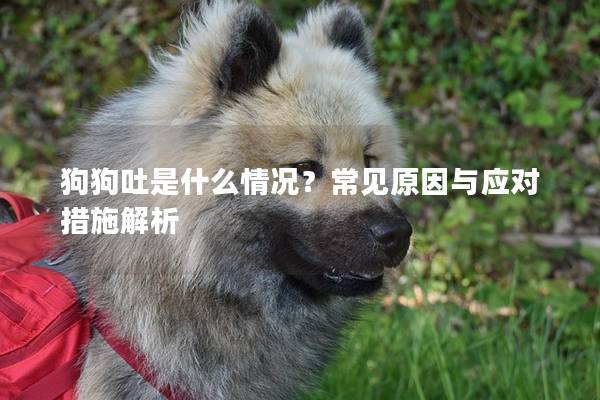 狗狗吐是什么情況？常見原因與應(yīng)對措施解析