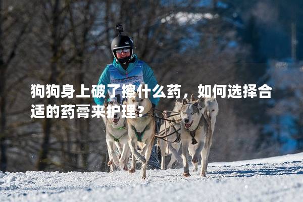 狗狗身上破了擦什么藥，如何選擇合適的藥膏來護理？
