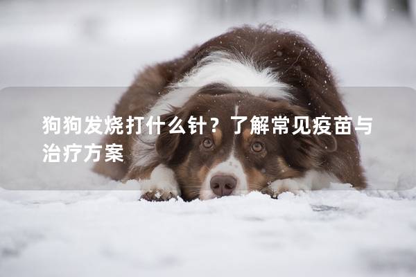 狗狗發(fā)燒打什么針？了解常見疫苗與治療方案