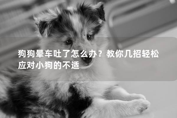 狗狗暈車吐了怎么辦？教你幾招輕松應(yīng)對小狗的不適