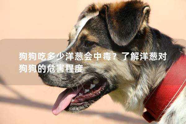 狗狗吃多少洋蔥會中毒？了解洋蔥對狗狗的危害程度