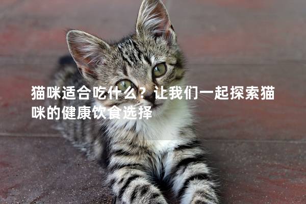 貓咪適合吃什么？讓我們一起探索貓咪的健康飲食選擇