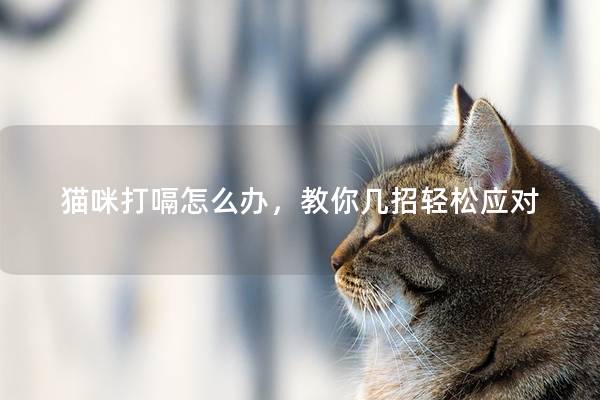 貓咪打嗝怎么辦，教你幾招輕松應(yīng)對(duì)
