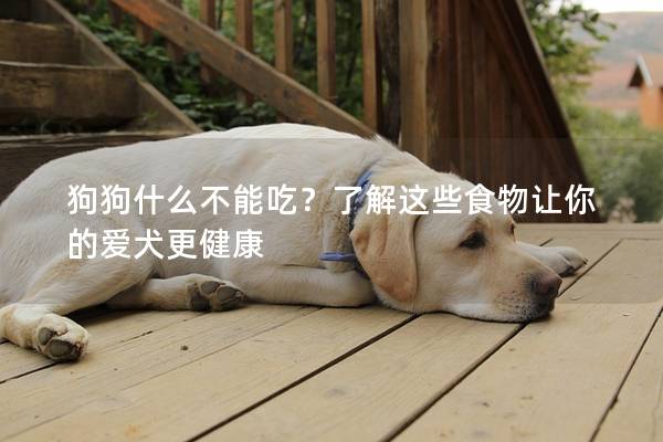 狗狗什么不能吃?了解這些食物讓你的愛犬更健康 狗狗什么不能吃?了解這些食物讓你的愛犬更健康