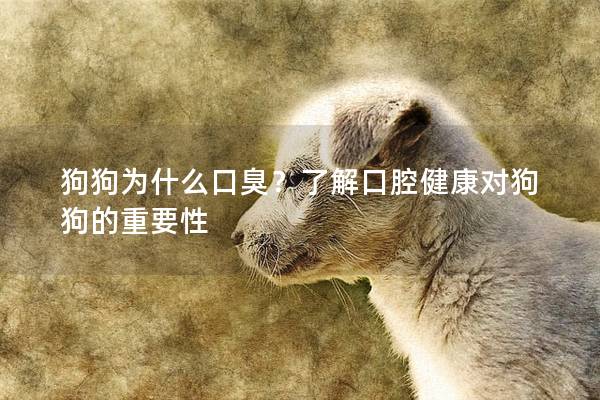 狗狗為什么口臭？了解口腔健康對(duì)狗狗的重要性