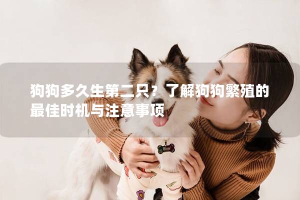 狗狗多久生第二只？了解狗狗繁殖的最佳時機與注意事項