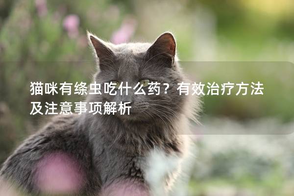 貓咪有絳蟲吃什么藥？有效治療方法及注意事項解析