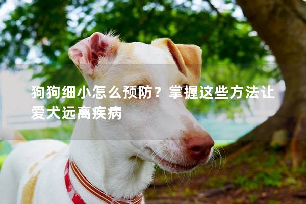 狗狗細(xì)小怎么預(yù)防？掌握這些方法讓愛(ài)犬遠(yuǎn)離疾病