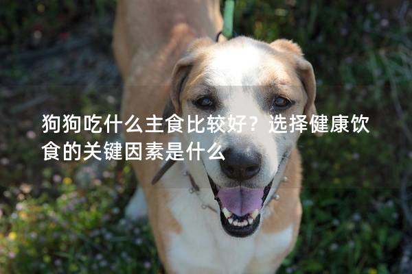 狗狗吃什么主食比較好？選擇健康飲食的關鍵因素是什么