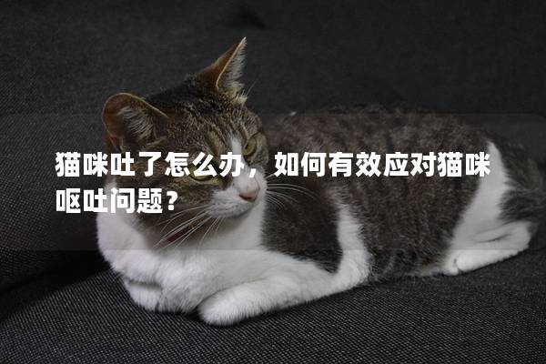 貓咪吐了怎么辦，如何有效應(yīng)對(duì)貓咪嘔吐問題？