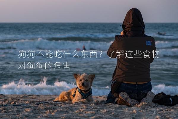狗狗不能吃什么東西？了解這些食物對(duì)狗狗的危害