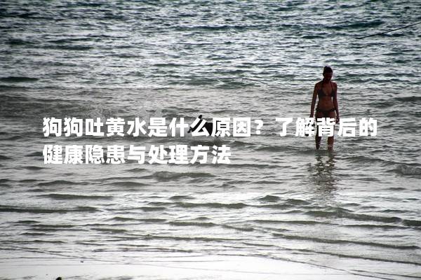 狗狗吐黃水是什么原因？了解背后的健康隱患與處理方法