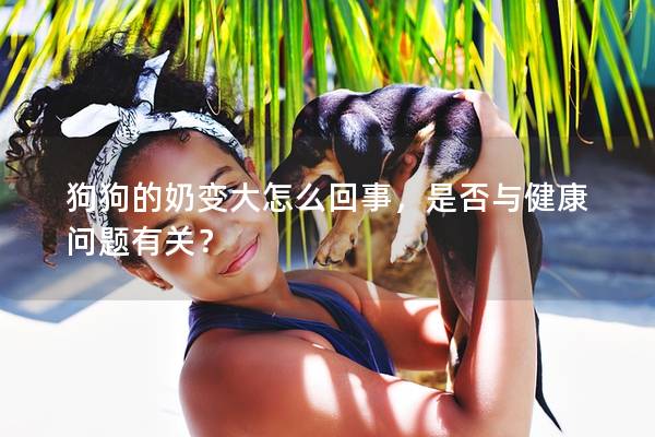 狗狗的奶變大怎么回事，是否與健康問題有關？