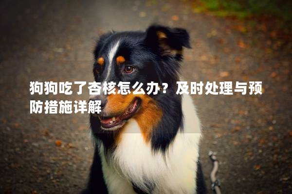 狗狗吃了杏核怎么辦？及時處理與預防措施詳解