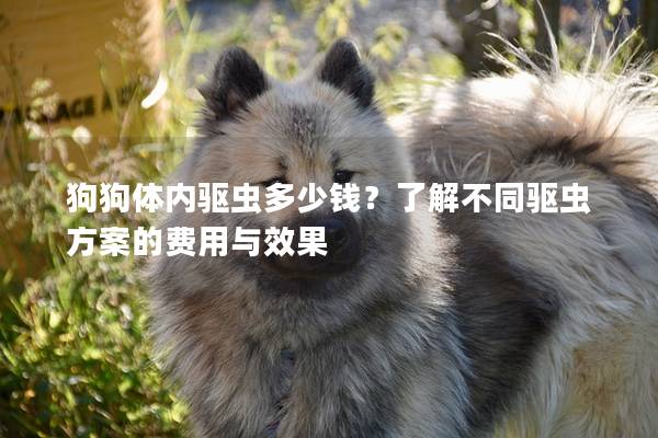 狗狗體內驅蟲多少錢?了解不同驅蟲方案的費用與效果 狗狗體內驅蟲多少錢?了解不同驅蟲方案的費用與效果