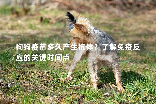 狗狗疫苗多久產生抗體？了解免疫反應的關鍵時間點
