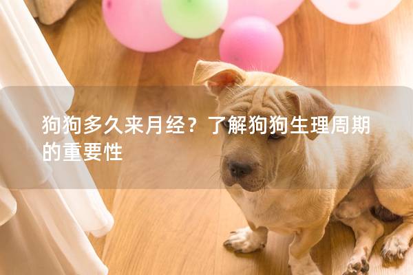 狗狗多久來月經(jīng)？了解狗狗生理周期的重要性