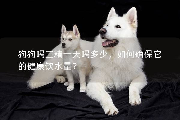 狗狗喝三精一天喝多少，如何確保它的健康飲水量？